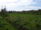 the land