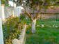 The garden