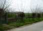 The road