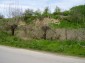 The area