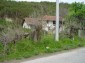 The estate