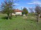 The property