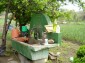 In the yard
