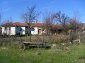 The estate