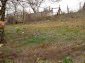 The garden
