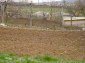 The yard