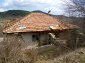 The property