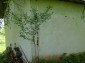 Outside the house