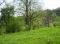 The land