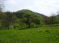 The land