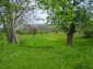 The land