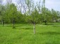 The land