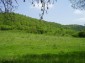 The plot of land