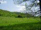 The plot of land