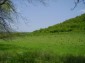 The plot of land