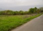 The land