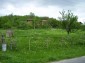 The land