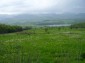 The plot of land