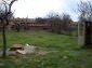 The yard
