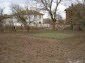 The yard
