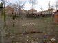 The garden