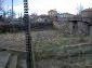 The yard