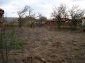 The yard