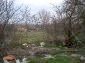 The garden