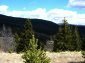 The land