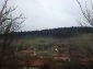 The view from the house