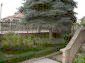 the garden