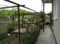 The garden
