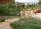 The garden