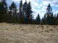 The land