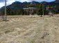 The land
