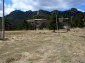 The land