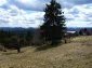 The land