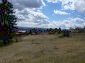 The land
