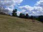 The land