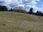 The land