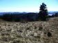The land