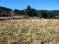 The land