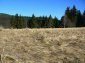 The land