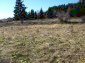 The land