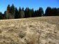The land