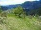 Lands for sale near Pamporovo