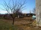 The garden