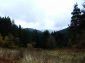 Lands for sale near Pamporovo