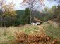 The land