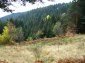The land